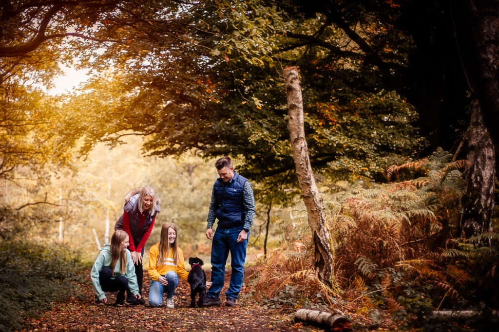 Guildford family photographer in Surrey woods